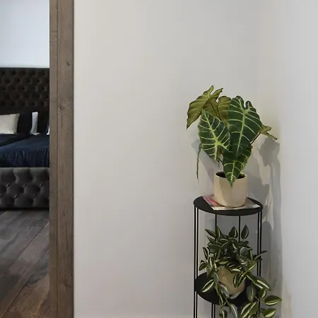 Mamica Luxury Laganas